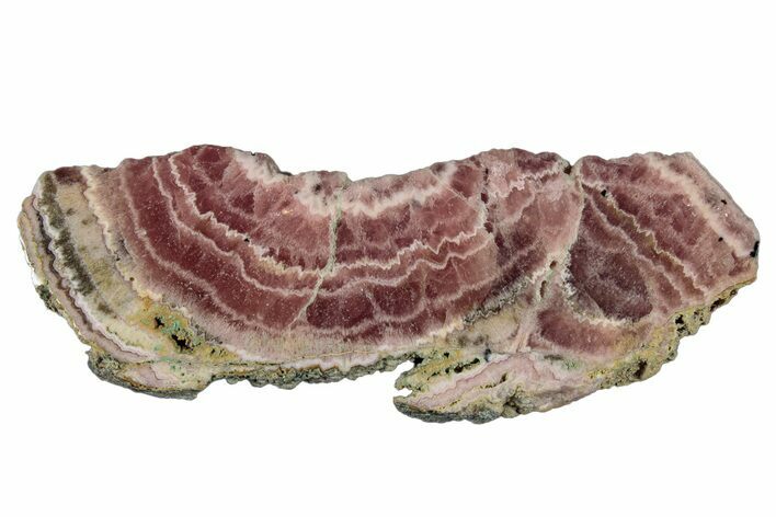 Polished Banded Rhodochrosite Slab - Argentina #281803